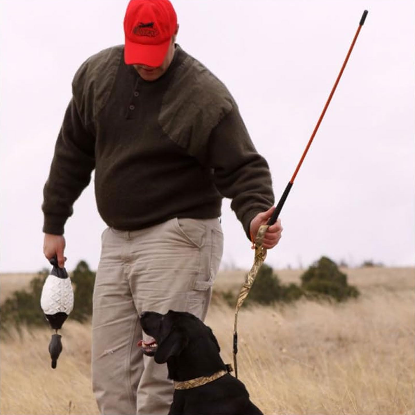 Avery heeling stick provides 36-inch reach for retrievers and gundogs.