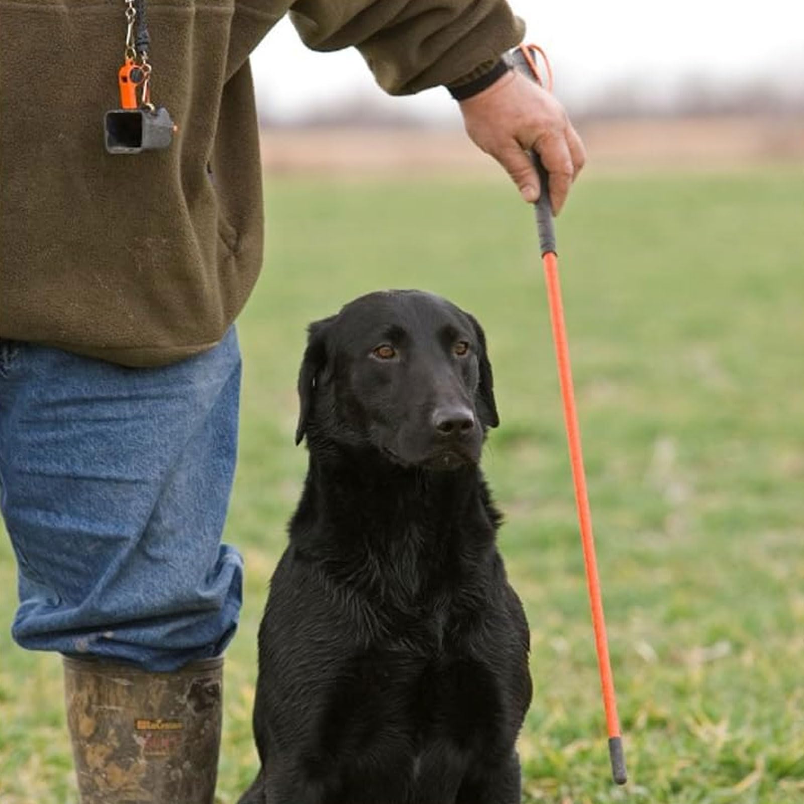 Avery heeling stick featuring wrapped polypropylene for durability.