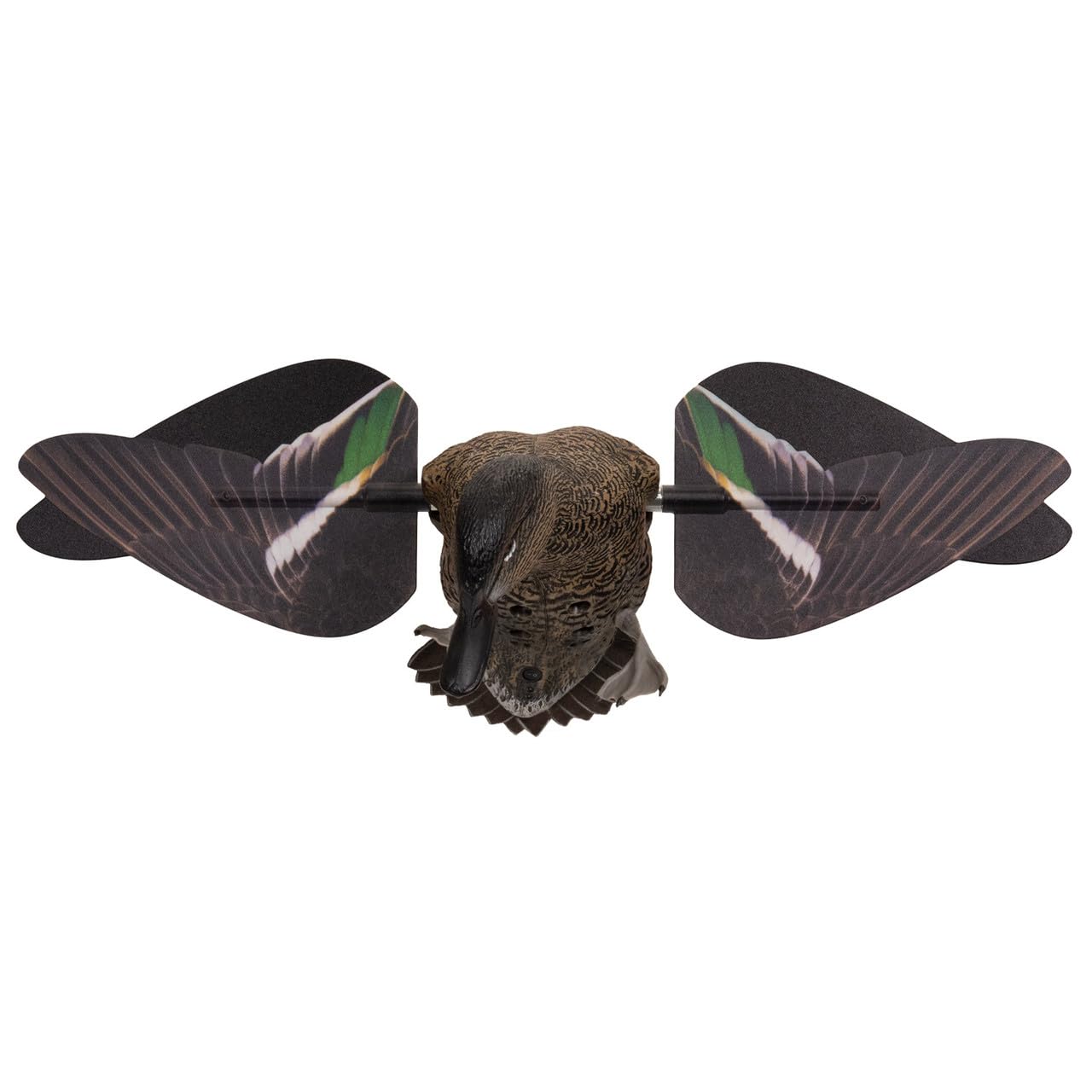 Avian-X teal hen decoy with Angel Wing motion for dynamic display.