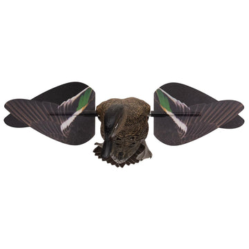 Avian-X teal hen decoy with Angel Wing motion for dynamic display.