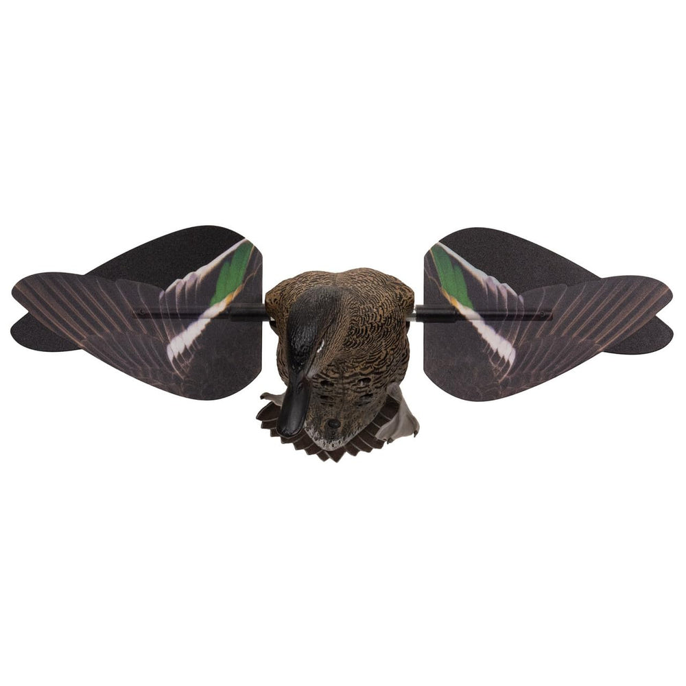 Avian-X teal hen decoy with Angel Wing motion for dynamic display.