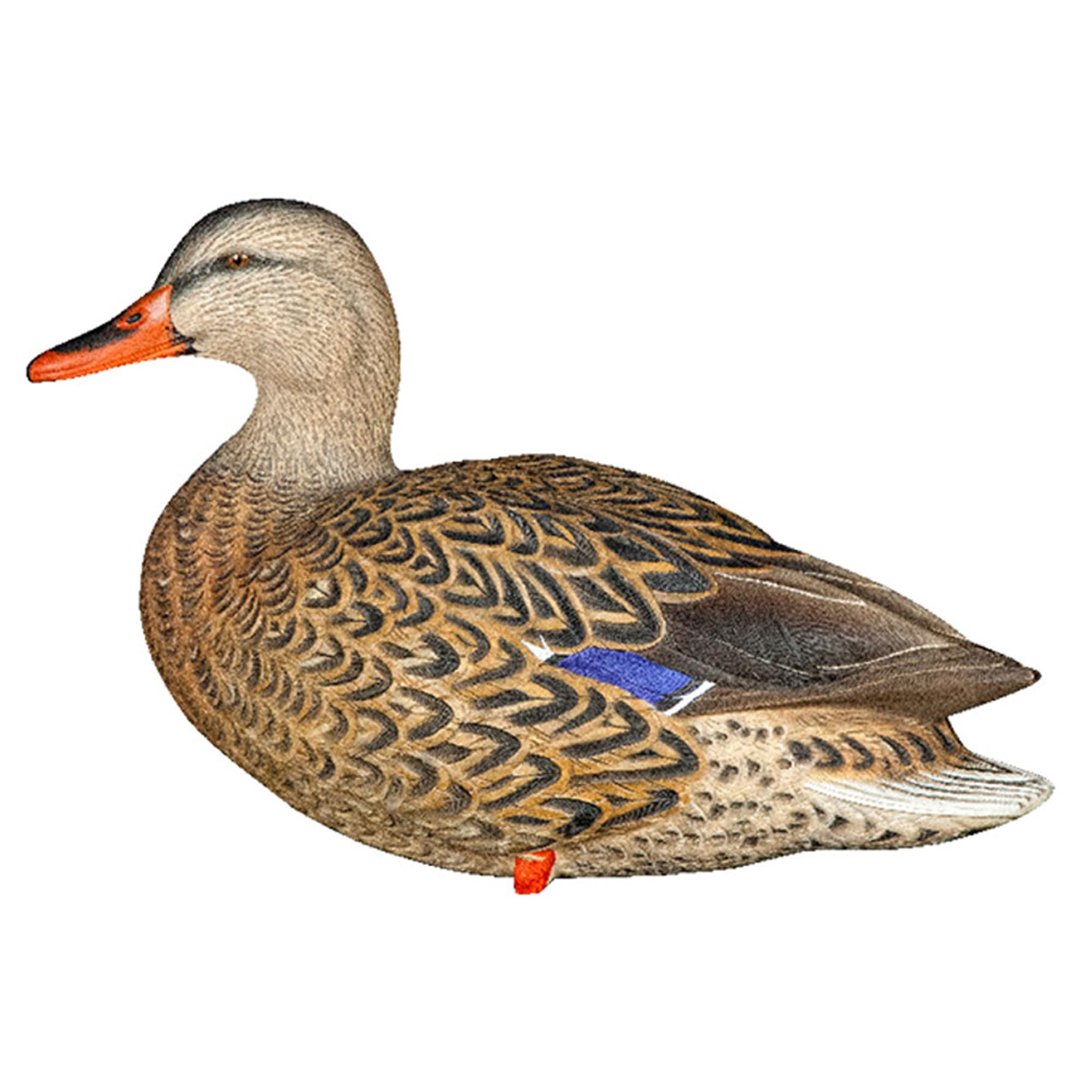 Avian-X AXP custom decoy bag with carry strap keeps gear organized.