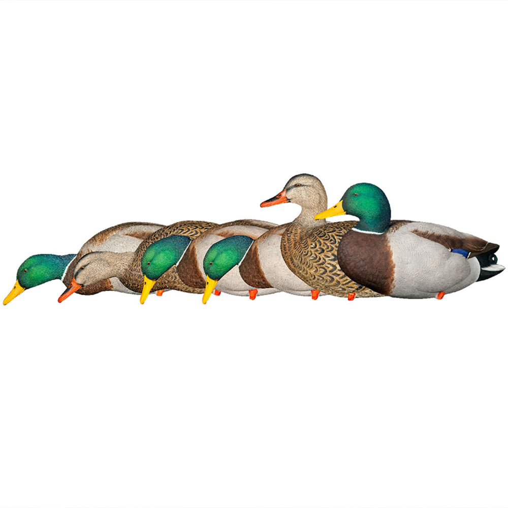 Avian-X AXP full-body mallards pack front view enhances long-range visibility.