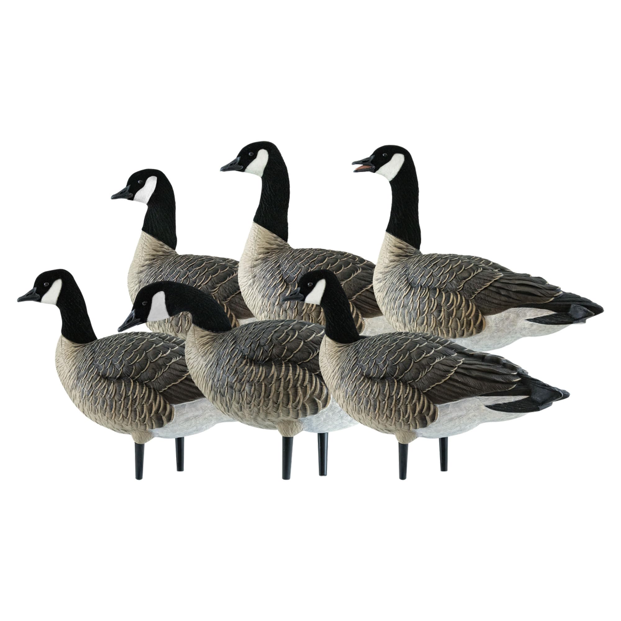 Avian-X AXP Honkers custom-fitted bag for easy transport and storage