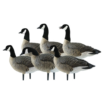 Avian-X AXP Honkers custom-fitted bag for easy transport and storage