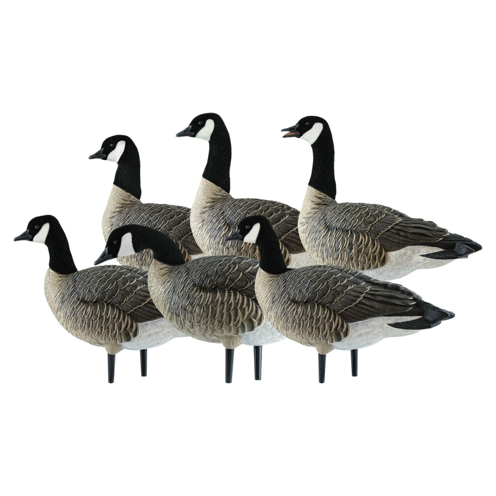Avian-X AXP Honkers custom-fitted bag for easy transport and storage
