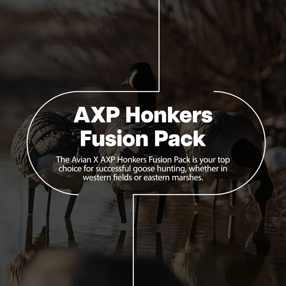 Avian-X AXP Honkers Fusion Pack flocked-head decoy highlights tactile realism and durable heads
