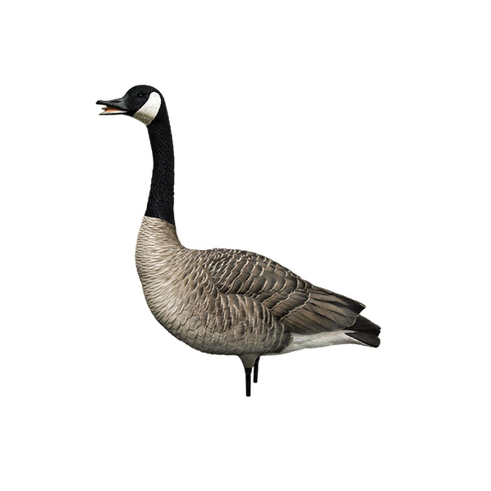 Avian-X AXP Honkers Fusion Pack juvenile decoy adds variance to the spread