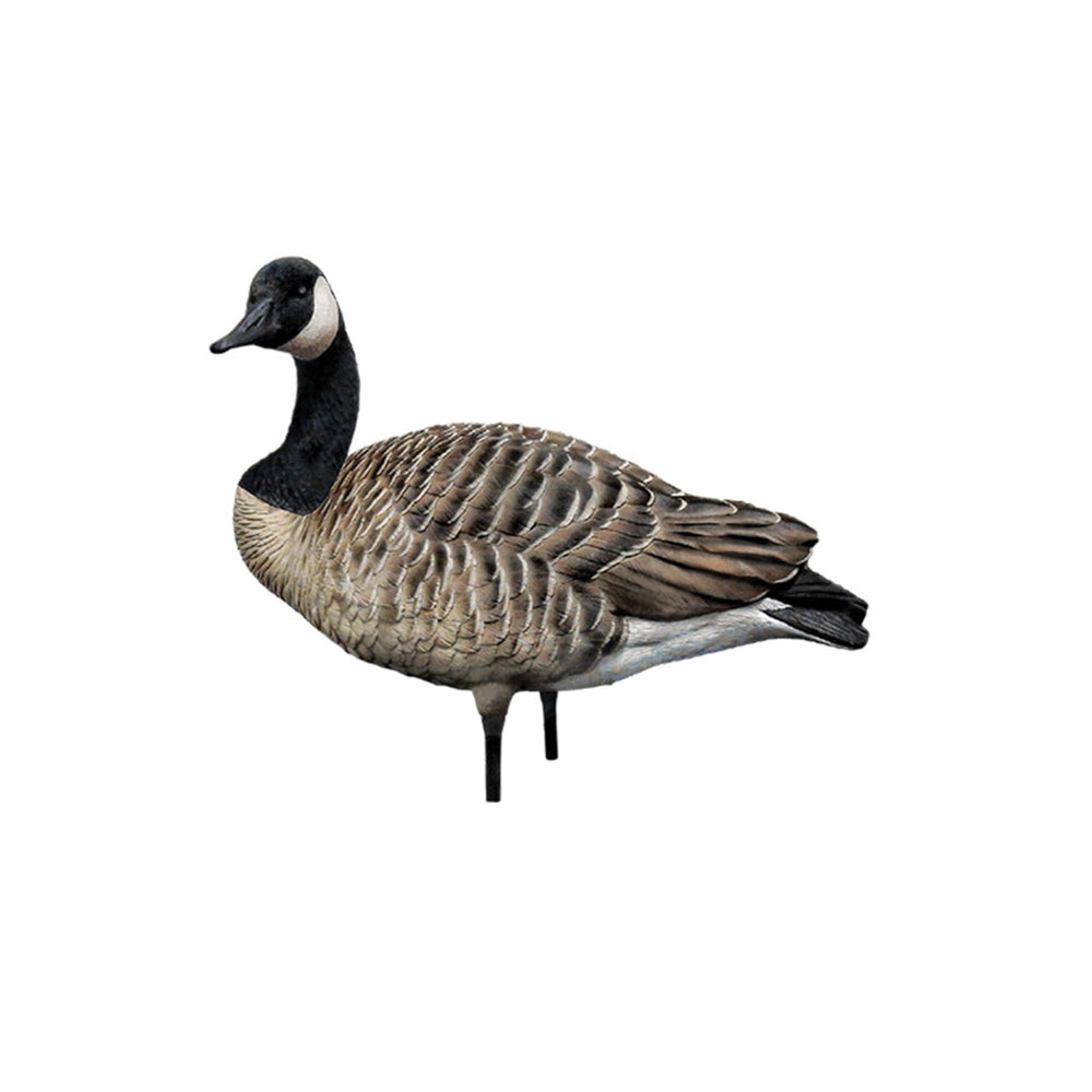 Avian-X AXP Honkers Fusion Pack male caller decoy helps attract attention with calling pose