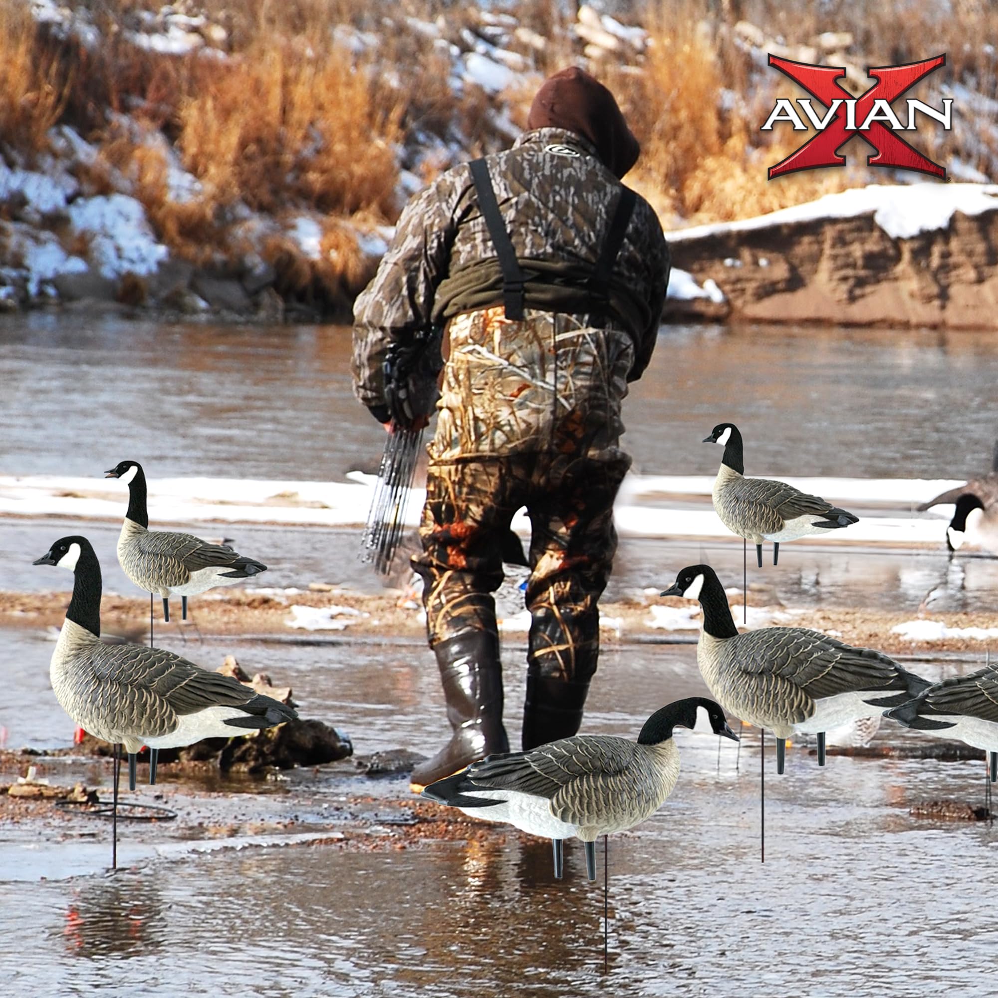 Avian-X AXP Honkers no-flake paint detail maintains durable finish
