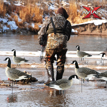 Avian-X AXP Honkers no-flake paint detail maintains durable finish