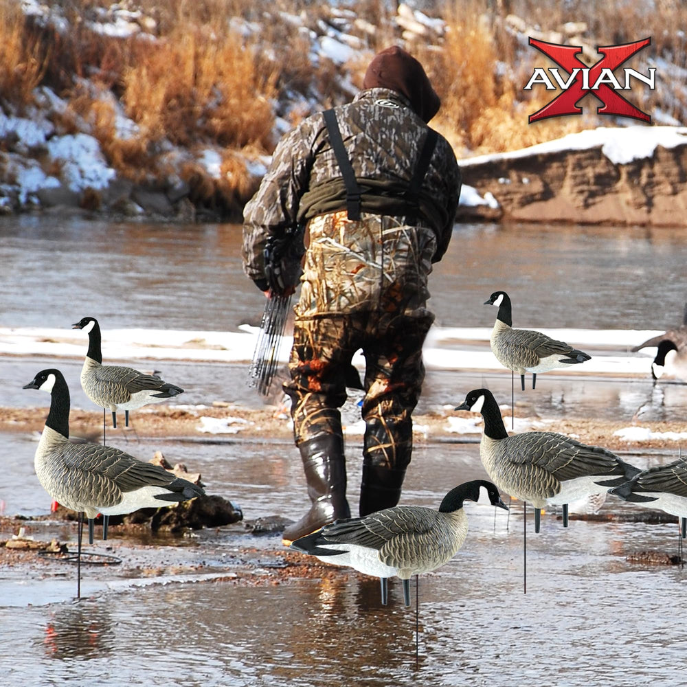 Avian-X AXP Honkers no-flake paint detail maintains durable finish