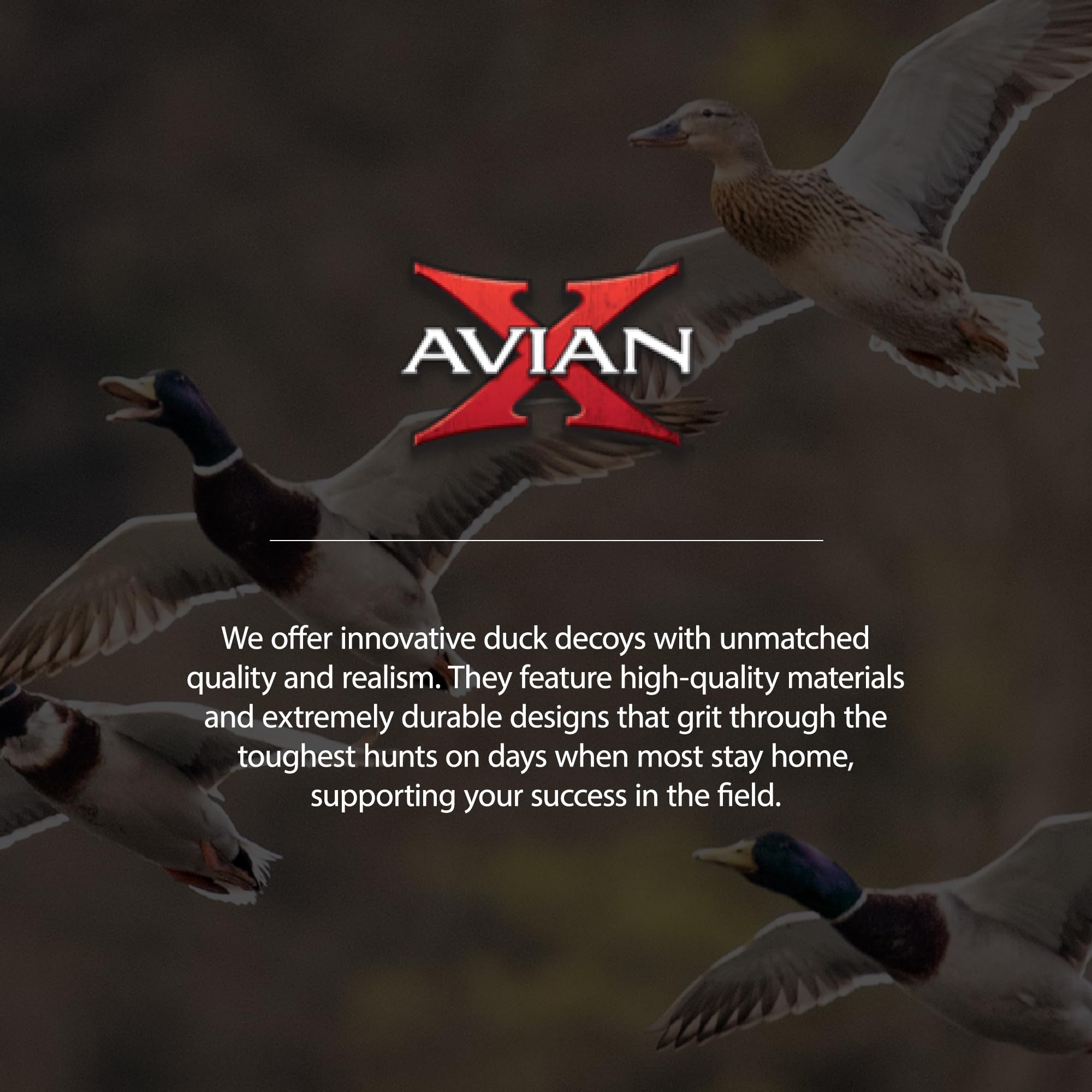 Avian-X AXP Honkers sentry decoy enhancing alert stance within the spread