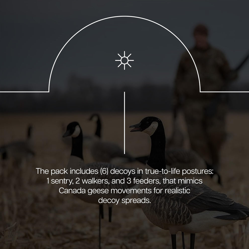 Avian-X AXP Honkers Fusion Pack stretch-neck feeder decoy adds dynamic interaction