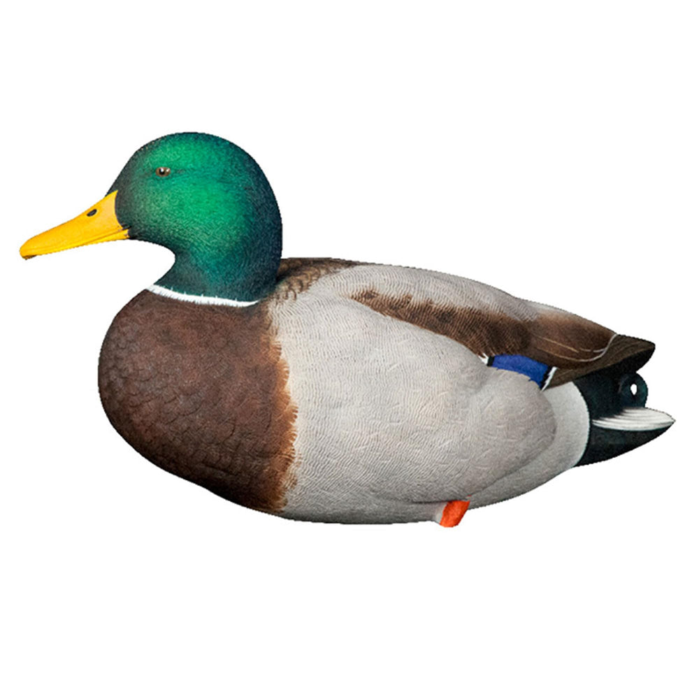 Avian-X AXP low-head drake adds depth to the spread.