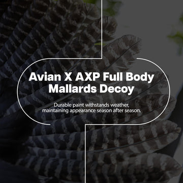 Avian-X AXP wind-activated motion system adds lifelike movement.