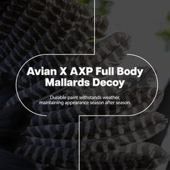 Avian-X AXP wind-activated motion system adds lifelike movement.