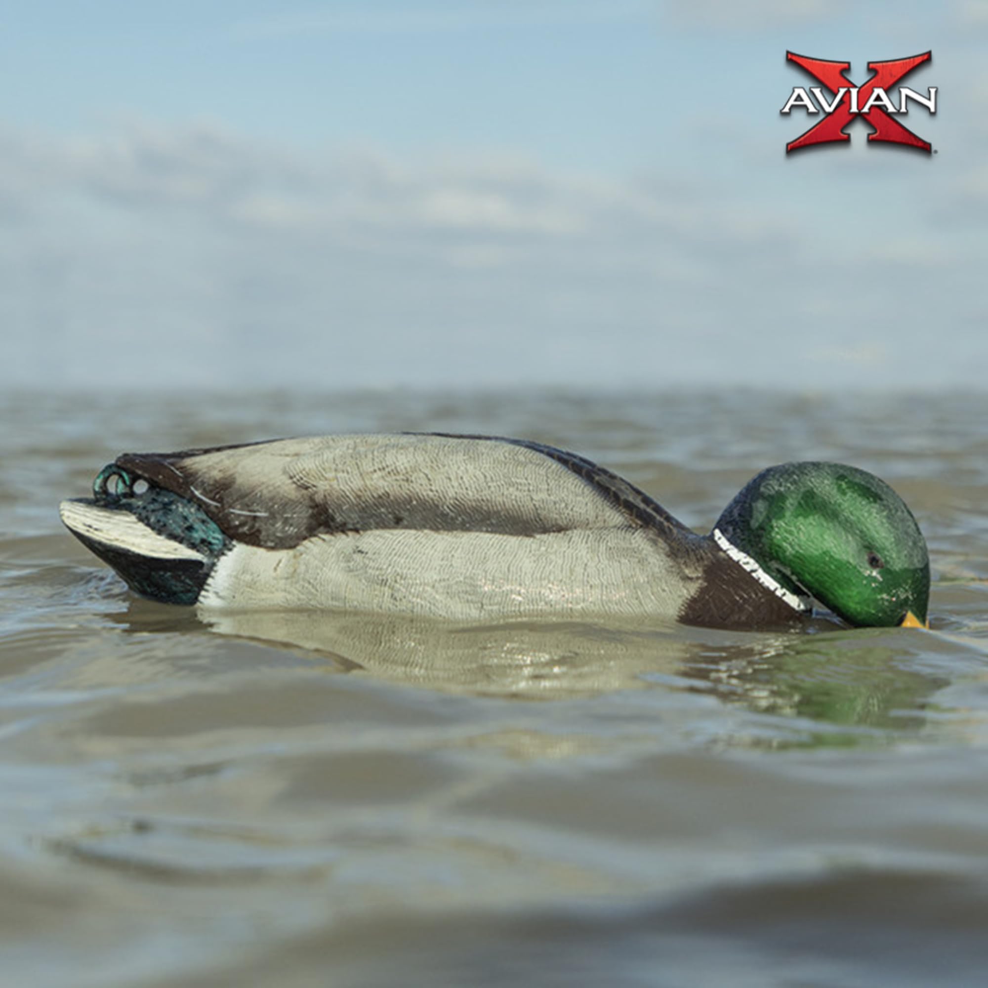 Avian-X battery-powered decoy offers up to ten hours of motion