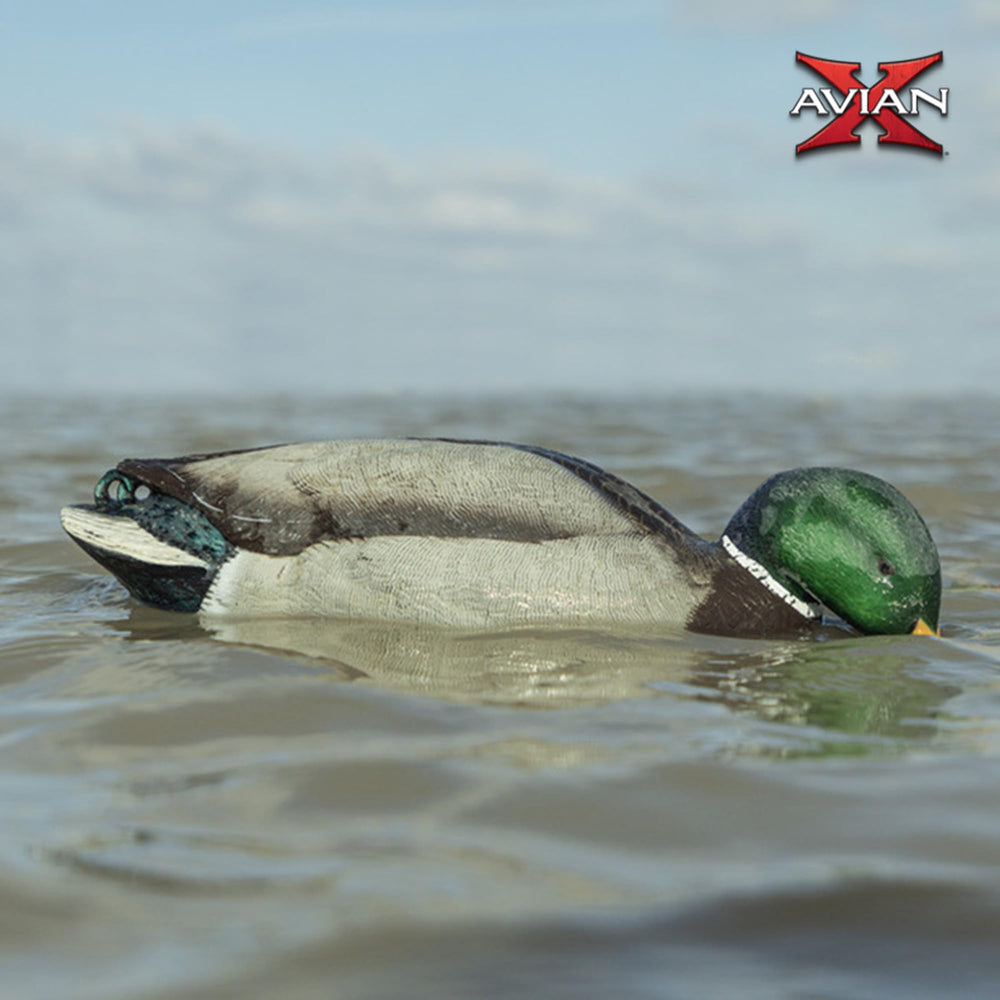 Avian-X battery-powered decoy offers up to ten hours of motion