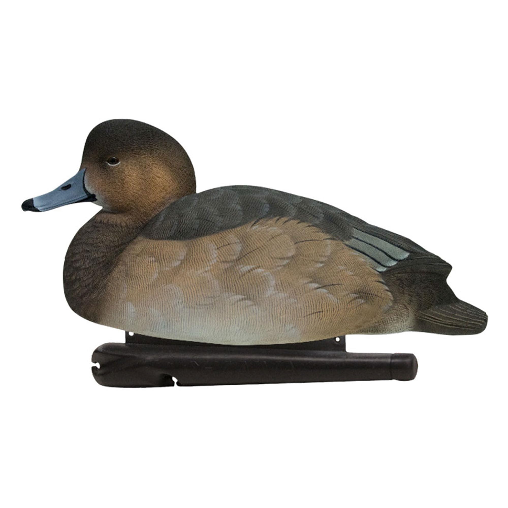 Avian-X Canvasback open-water decoy set enhances realistic waterfowl displays.