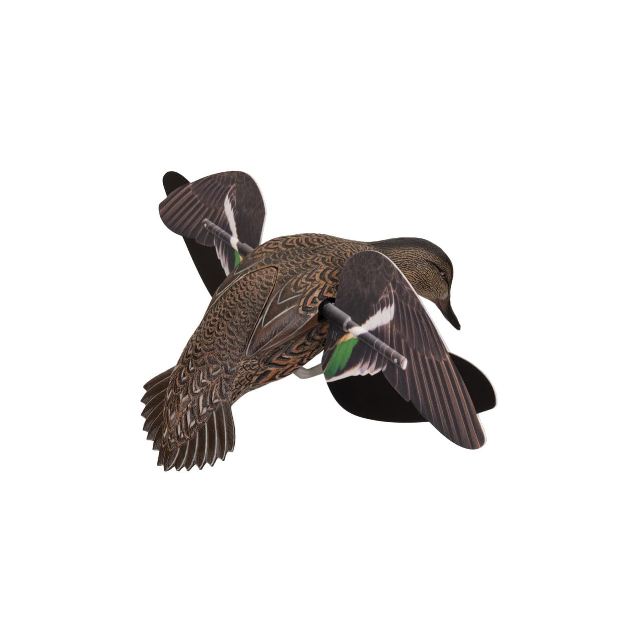 Avian-X Green-Winged Teal features contrasting wing color for long-range flash.