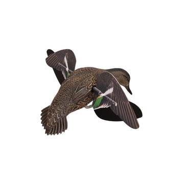 Avian-X Green-Winged Teal features contrasting wing color for long-range flash.