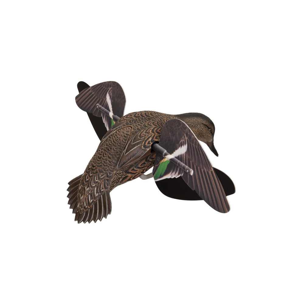 Avian-X Green-Winged Teal features contrasting wing color for long-range flash.