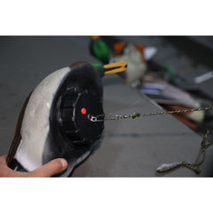Avian-X foam-filled mallard drake decoy for durable marsh use