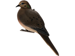 Avian-X full body dove decoys alert pose for dynamic field displays