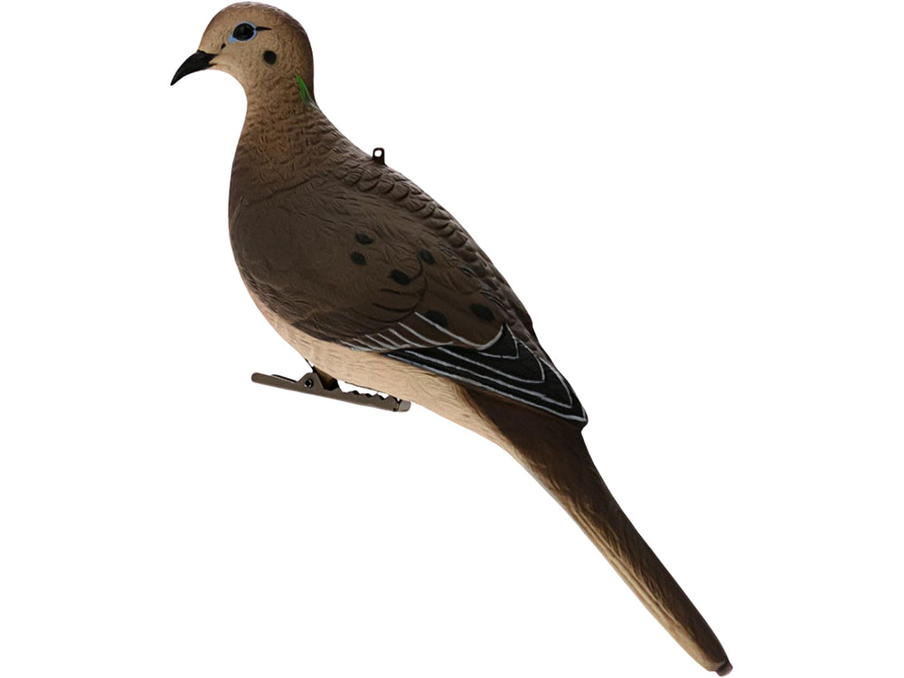 Avian-X dove decoys 6-pack field-ready with durable paint and weather resistance