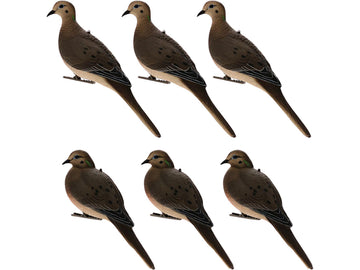 Avian-X full body dove decoys resting pose for realistic field presentation