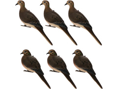 Avian-X full body dove decoys resting pose for realistic field presentation