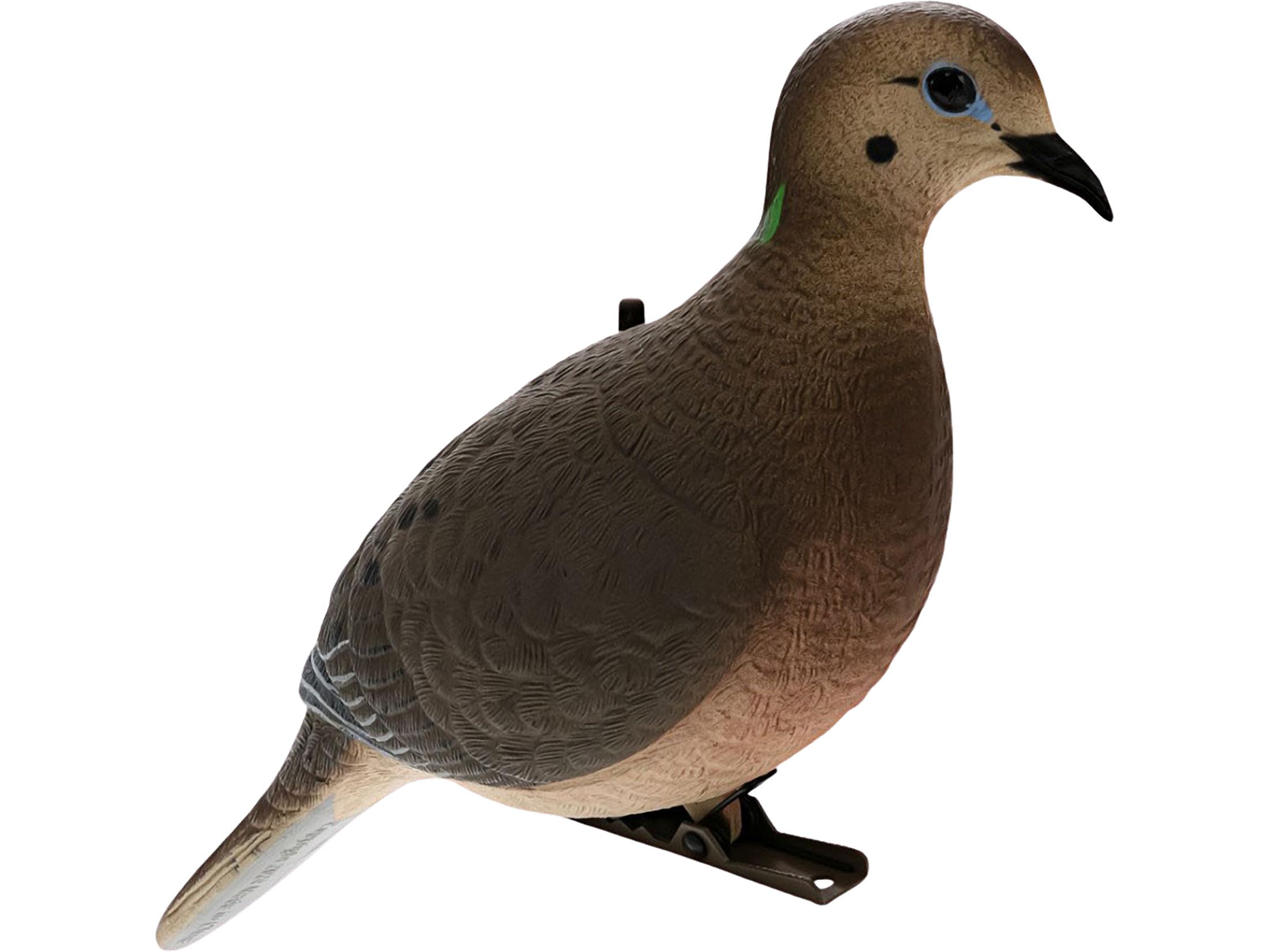 Avian-X resting pose dove decoy shown with secure eyelet, clip, and stakes for flexible field setup