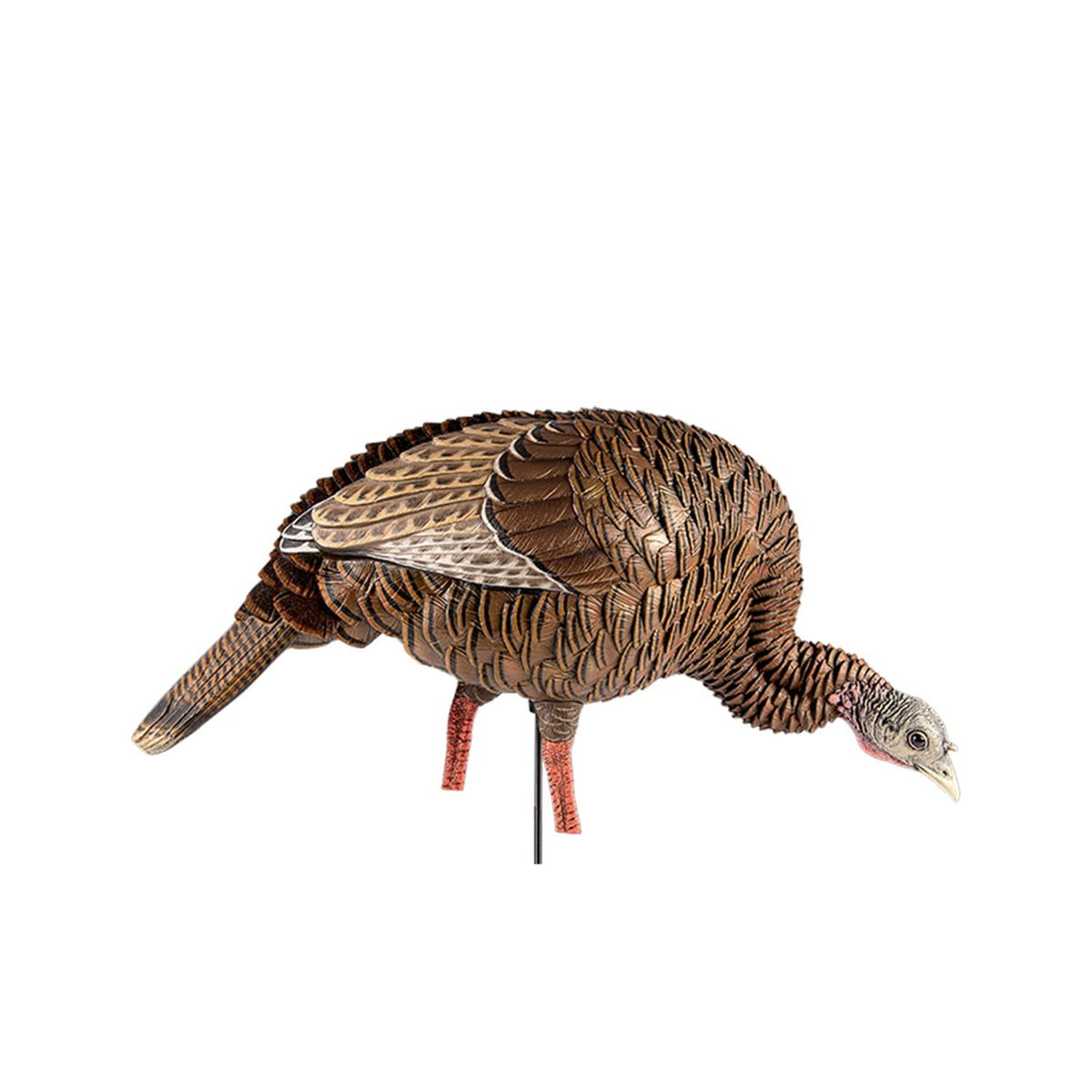 Avian-X HDR Feeding Hen turkey decoy front view with lifelike posture and detailed paint