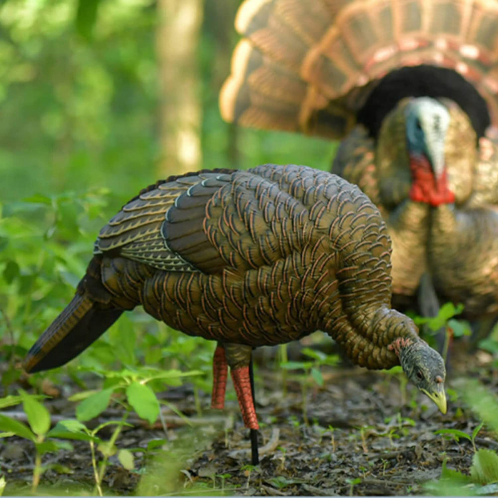 Avian-X HDR Feeding Hen decoy with integrated stake and carrying bag