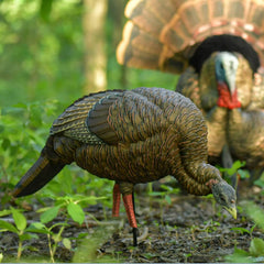 Avian-X HDR Feeding Hen decoy with integrated stake and carrying bag