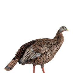Avian-X HDR Hen Turkey Decoy full-body realism boosts authentic turkey setups.