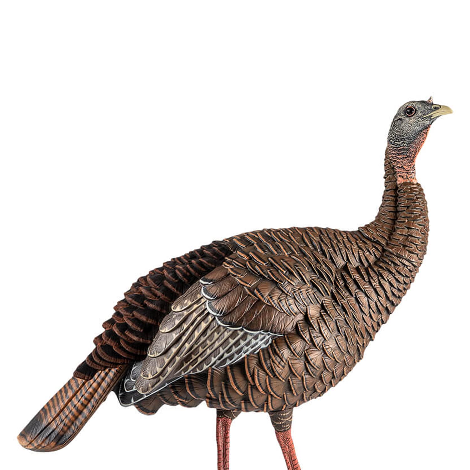 Avian-X HDR Hen Turkey Decoy interchangeable heads enable aggressive or submissive signaling.