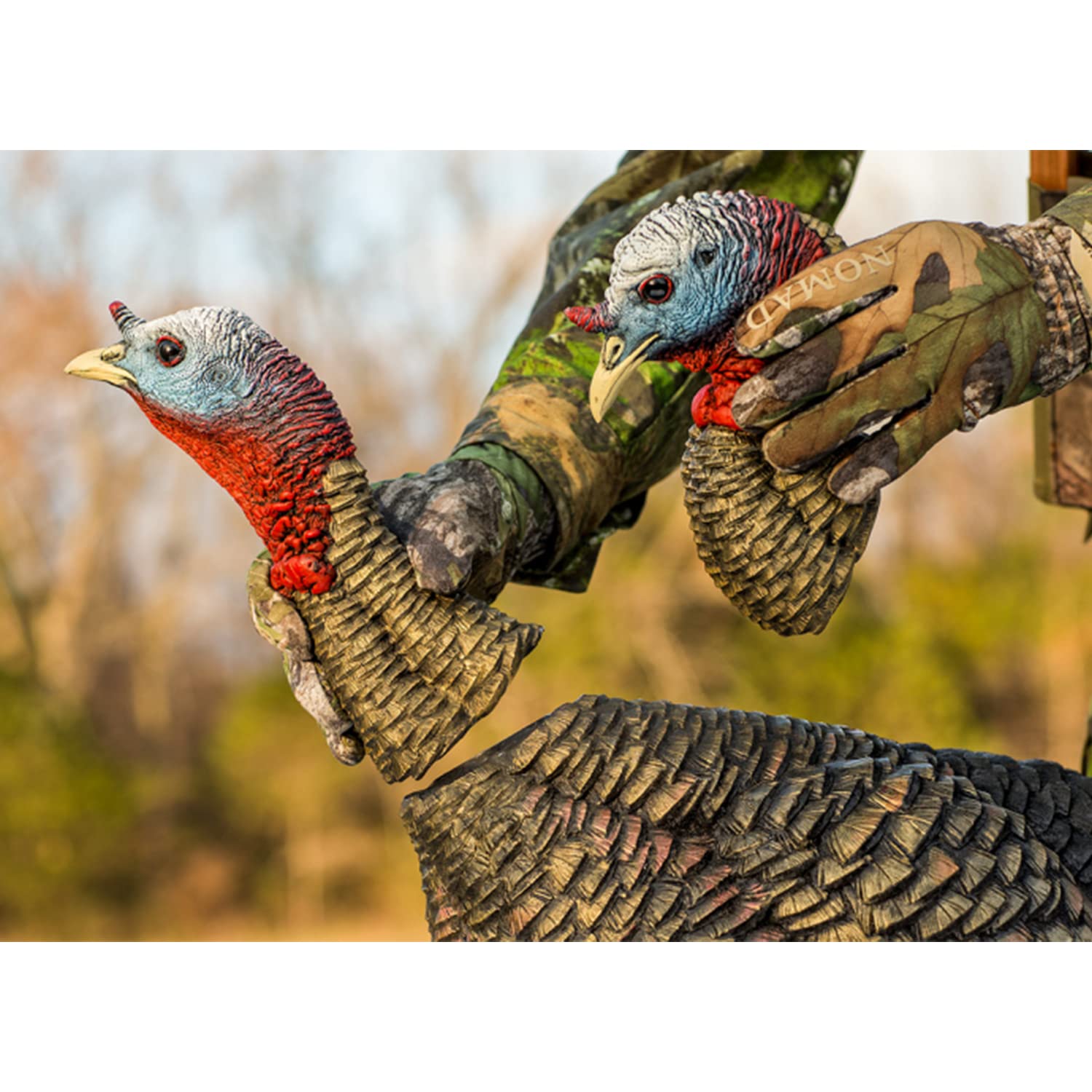 Avian-X HDR Jake with quarter-strut stance and realistic feather details for convincing presence.