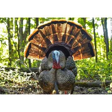 Avian-X HDR Strutter durable blow-molded body withstands season after season