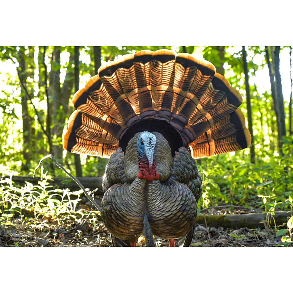 Avian-X HDR Strutter durable blow-molded body withstands season after season