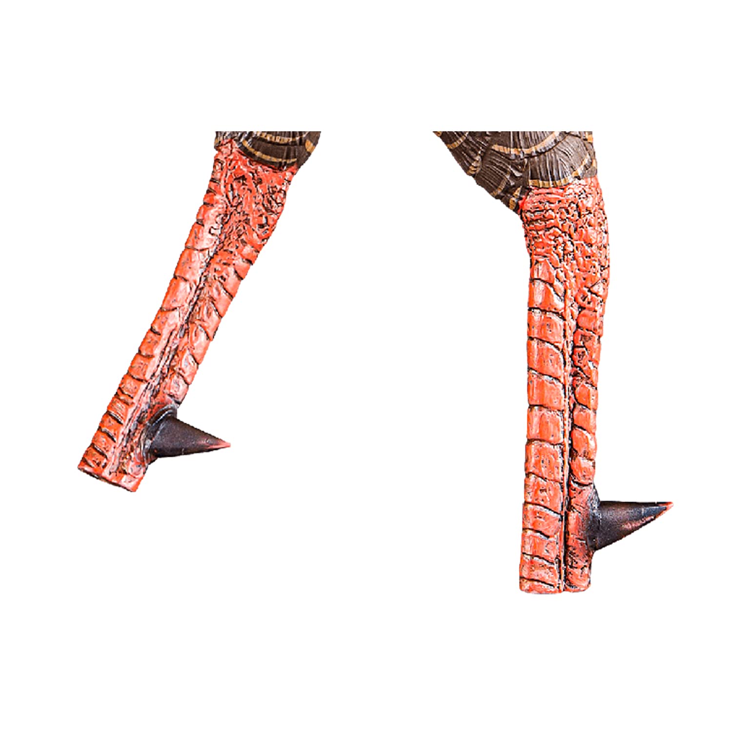 Avian-X HDR Strutter tail fan adjustable for mature or Jake poses