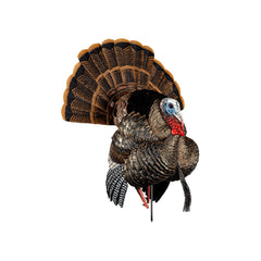 Avian-X HDR Strutter turkey decoy setup for realistic field presence