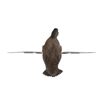 Avian-X package includes two decoys, two sets of wings, two stakes.