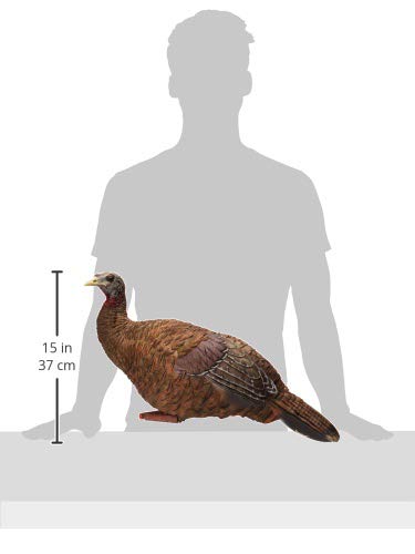 AVIAN-X LCD Breeder Hen decoy breeder pose signals readiness to breed.