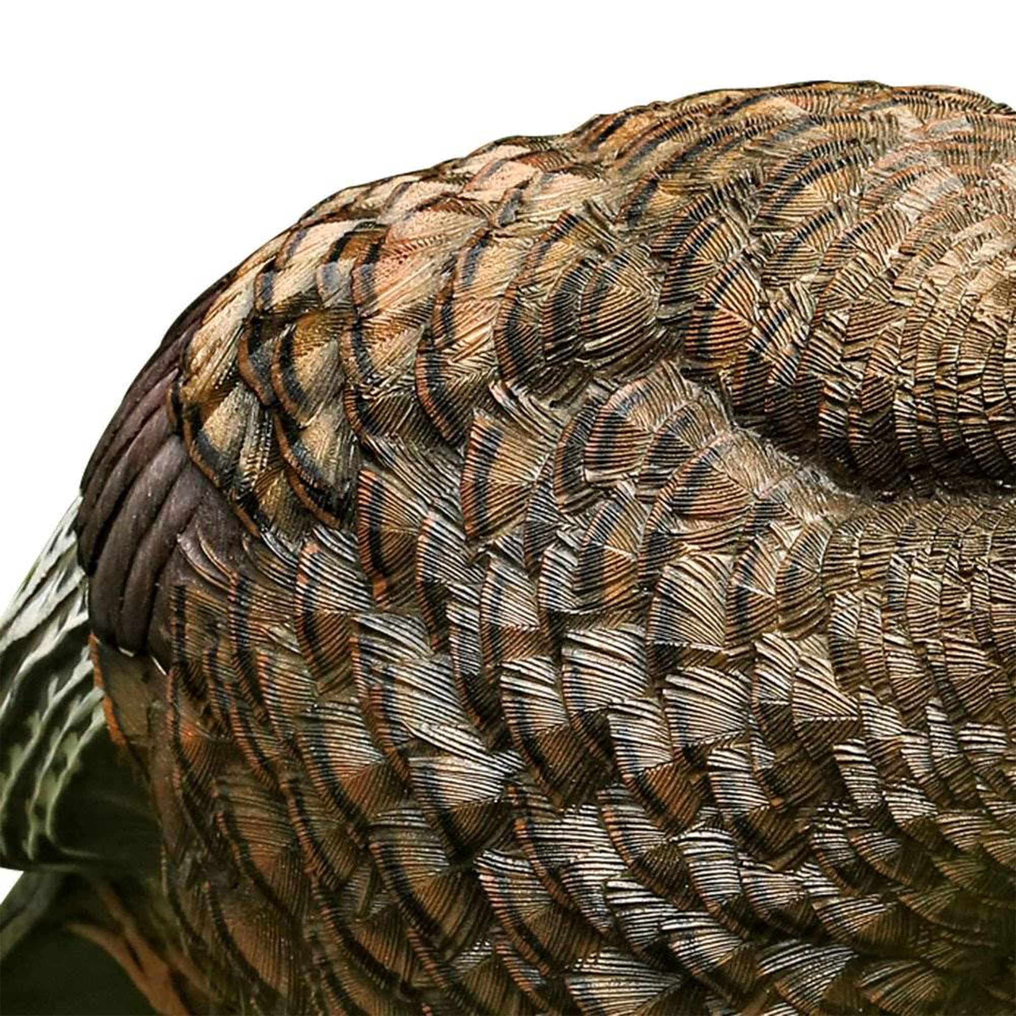 AVIAN-X LCD Breeder Hen decoy folds compactly for easy storage.