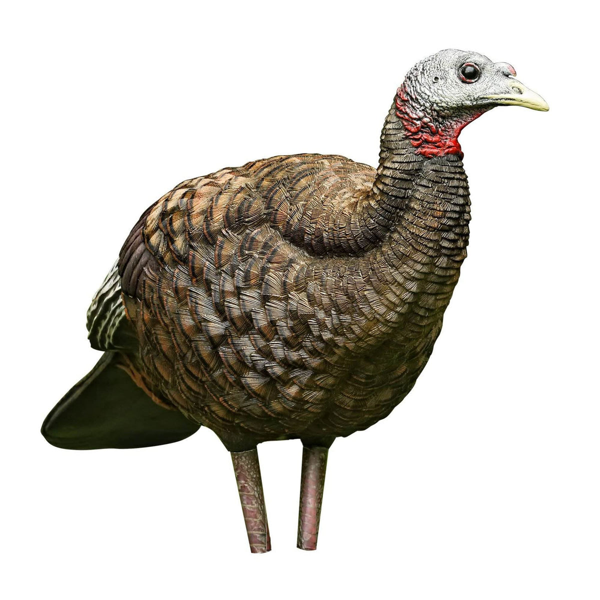 AVIAN-X LCD Breeder Hen decoy folding body for gobbler attraction in field.