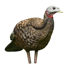 AVIAN-X LCD Breeder Hen decoy folding body for gobbler attraction in field.