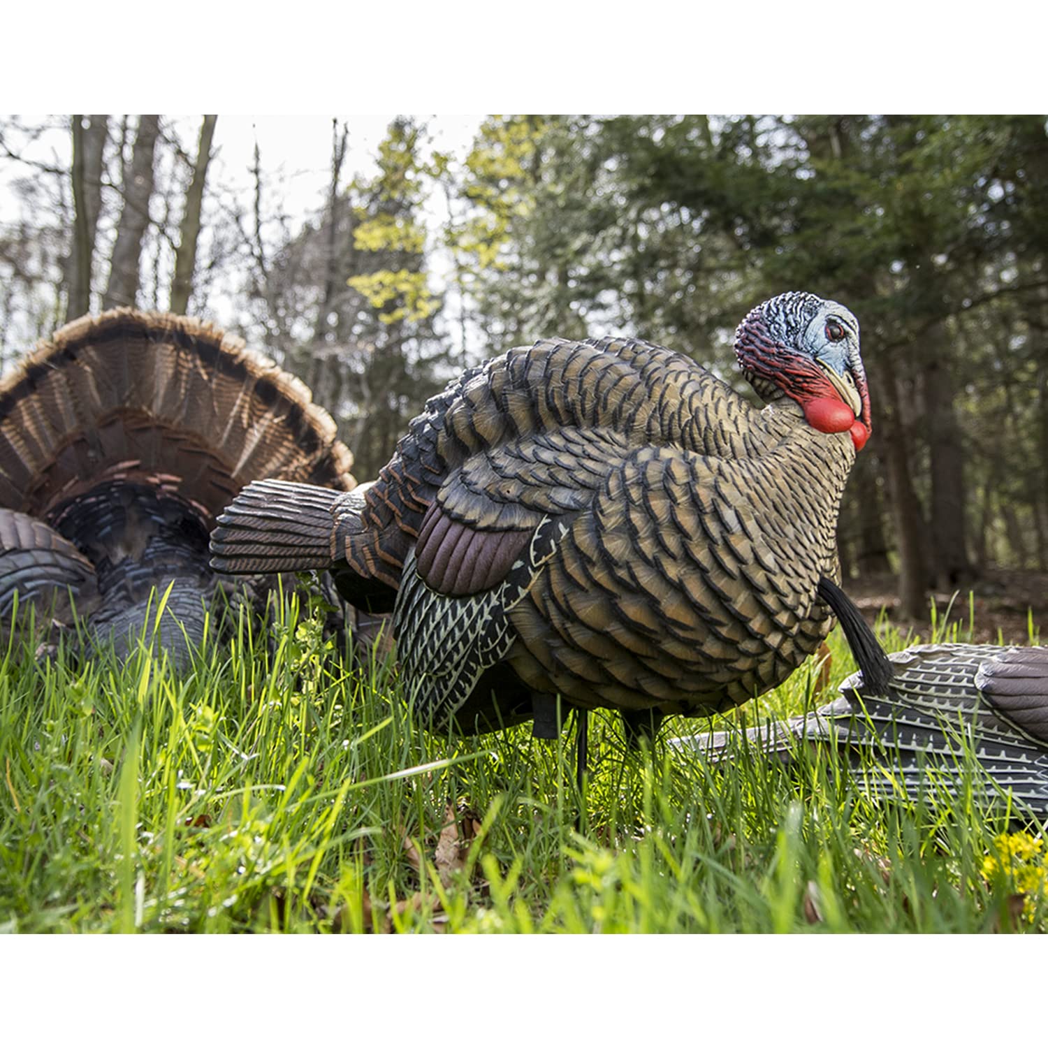 Avian-X LCD dura-rubber body stays quiet and durable in the field