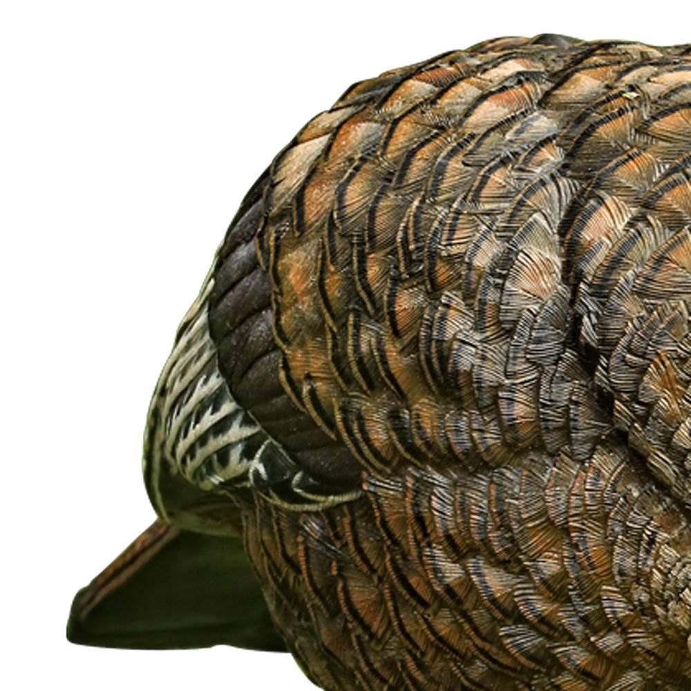 Avian-X LCD Feeder Hen Decoy 15-percent smaller size improves concealment and handling.